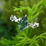Everlasting Marquise Cut Moss Agate Ring©